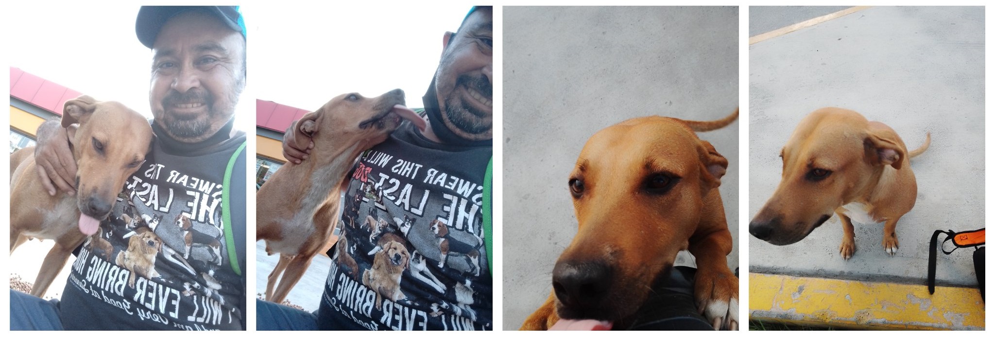 Hombre cargando a una perrita; Perrita callejera le muerde un brazo y ahora le lleva comida todos los días