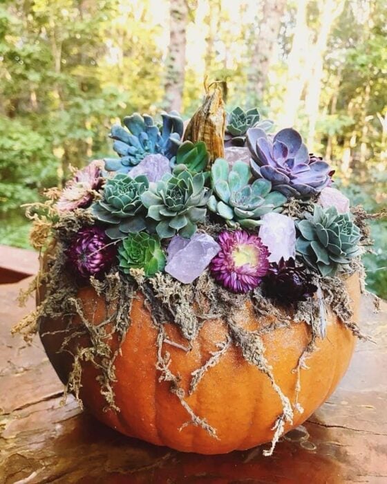calabaza maceta enorme 13 Ideas para que tus suculentas crezcan dentro de una calabaza 'mágica' 