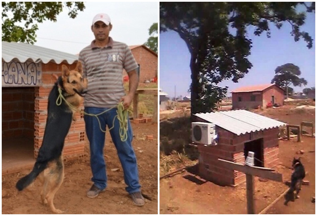 Hombre junto a su perro; dueño coloca aire acondicionado en la casa de su perro