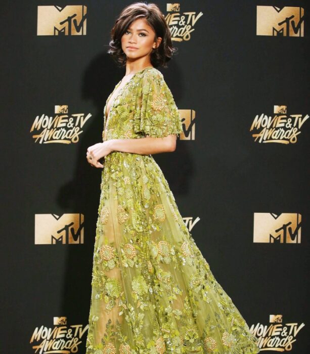 En los MTV Movie Awards de 2017