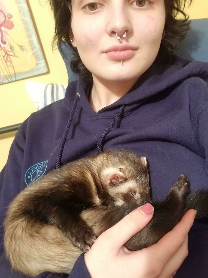 girl carrying a ferret;  20 cute pictures that will make you want to have a ferret