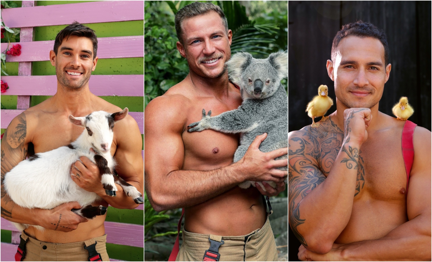 Bomberos posando con animales para calendario; Bomberos lanzan su nuevo calendario benéfico 2022