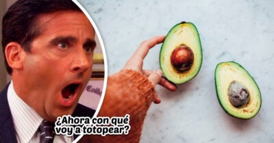¡Adiós al aguacate! Chefs comienzan a ya no usarlo por su impacto medioambiental