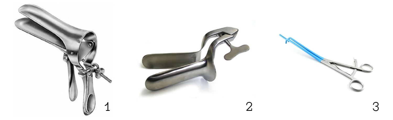 The gynecological speculum or 