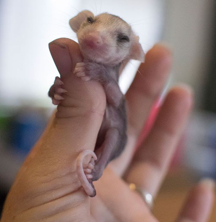 Photos that return faith in humanity 
