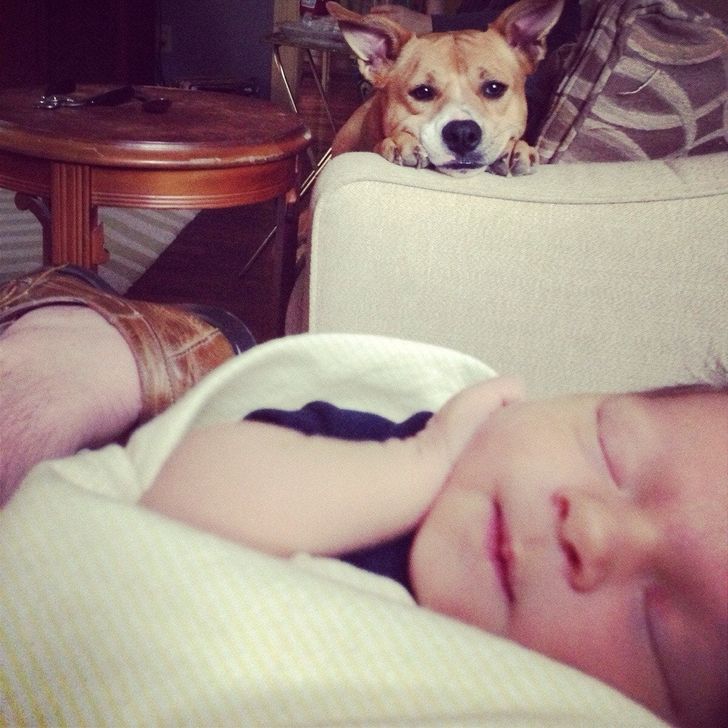 Photos that return faith in humanity 