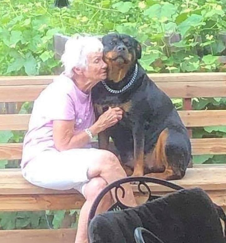 Photos that return faith in humanity 