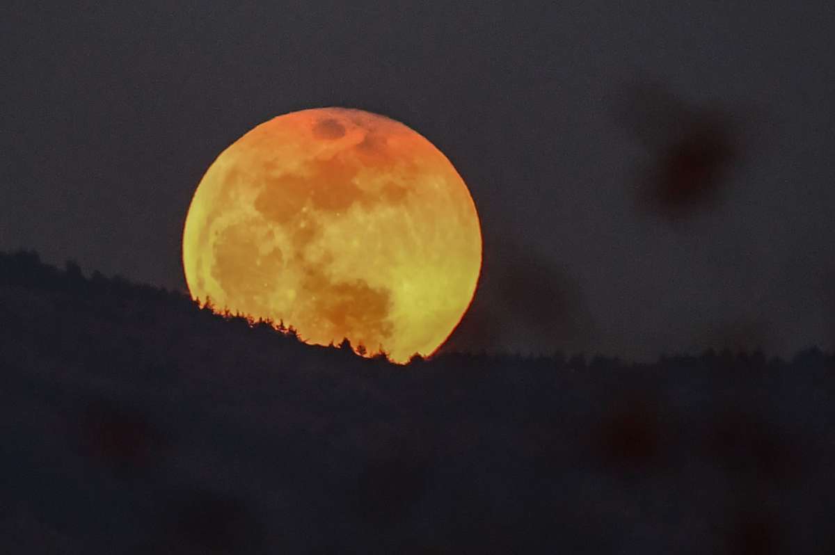 Luna; Último eclipse lunar del año será visible en casi todo el planeta