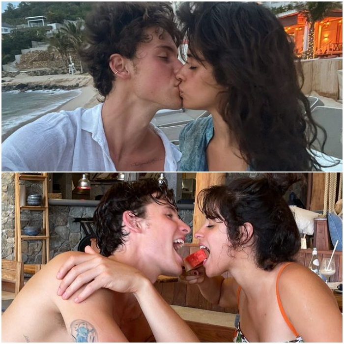 Shawn Mendes and Camila Cabello