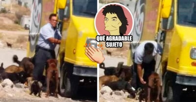 ¡Héroe sin capa! Repartidor vio a perritos callejeros y los alimentó a todos