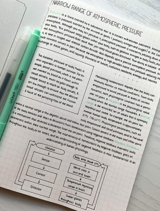 Notas con diagramas ;19 Notas con caligrafía tan perfecta que son un placer visual