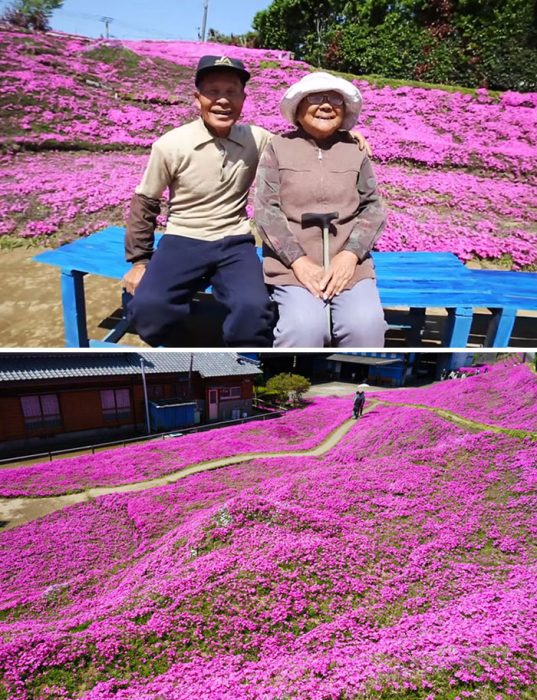 Pareja de abuelitos ;20 Veces en que novios y esposos reenamoraron a sus chicas con un hermoso regalo