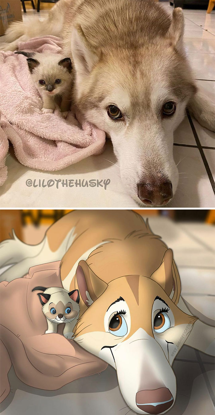 wolfdog; Artist turns ordinary pets into Disney characters