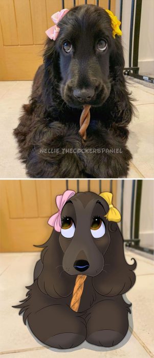 Perro con moños ;Artista convierte a mascotas ordinarias en personajes Disney