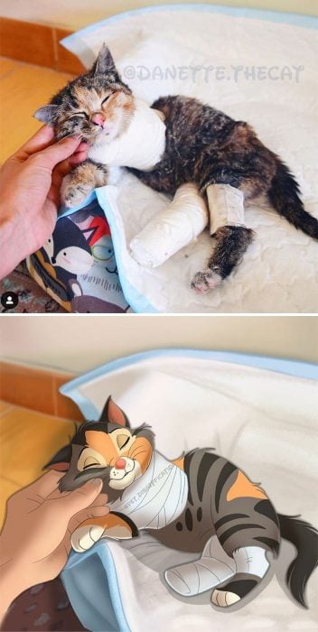 Gato naranja ;Artista convierte a mascotas ordinarias en personajes Disney