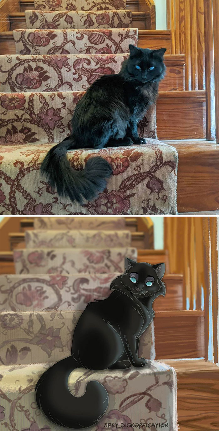 Black Kitten; Artist Turns Ordinary Pets Into Disney Characters