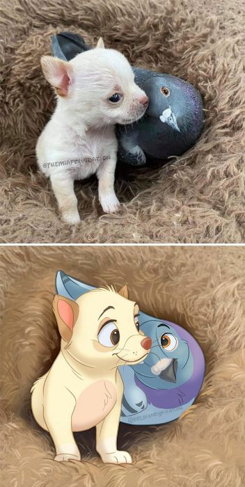 Gato y paloma ;Artista convierte a mascotas ordinarias en personajes Disney
