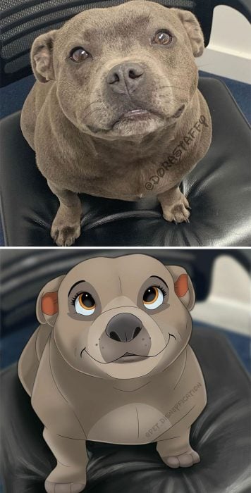 perro café ;Artista convierte a mascotas ordinarias en personajes Disney
