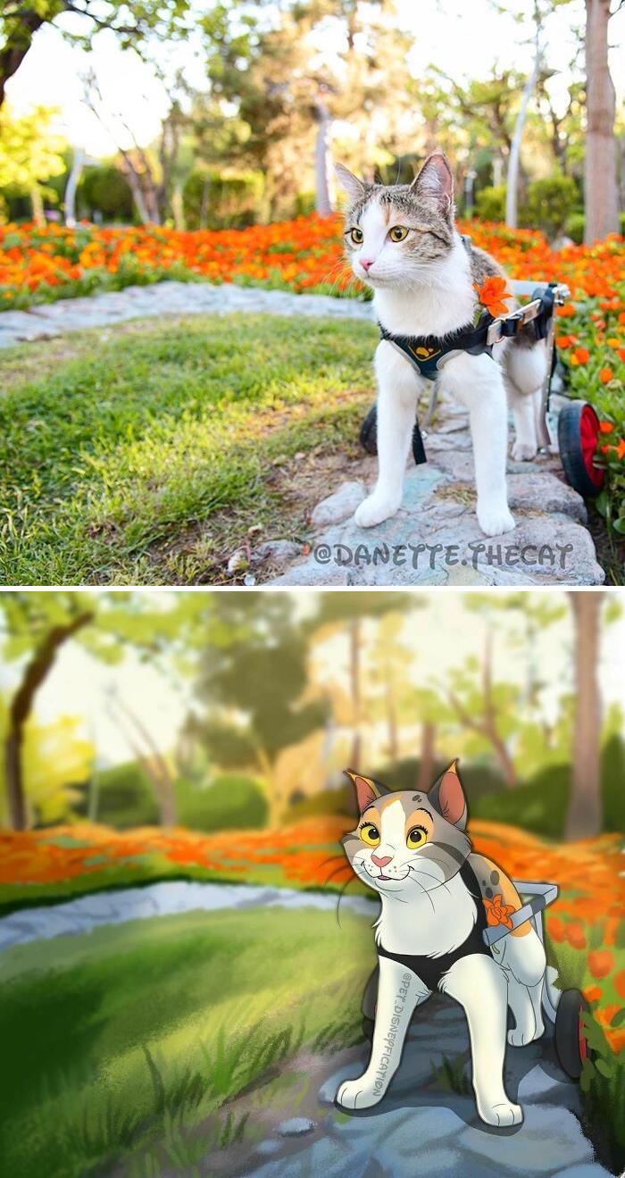 Pinto Kitten; Artist Turns Ordinary Pets Into Disney Characters