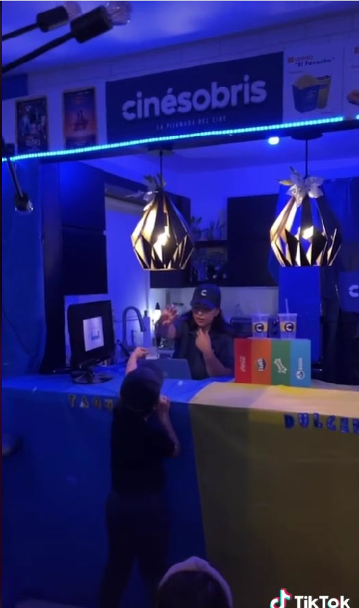 aunt recreates a cinema in her house for her 6 nephews 