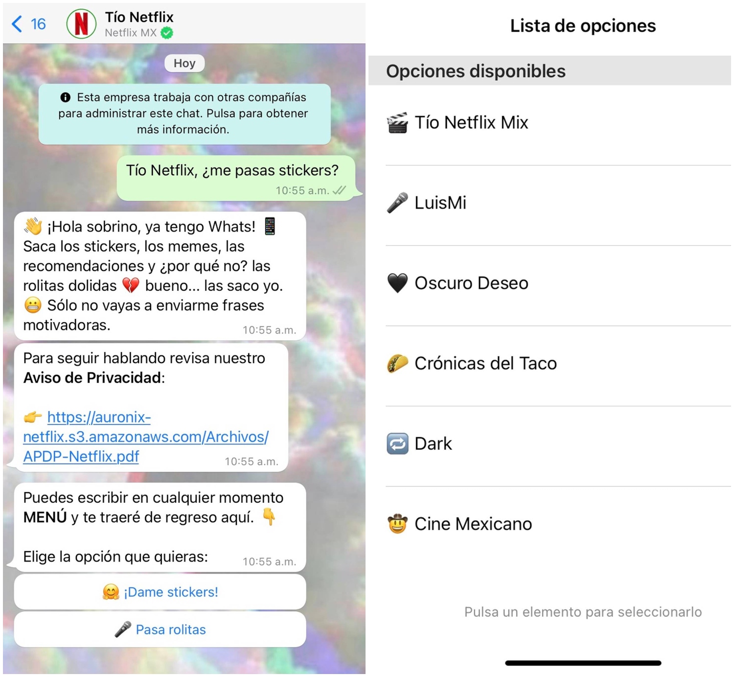 Netflix ya tiene WhatsApp y los usuarios pueden chatear