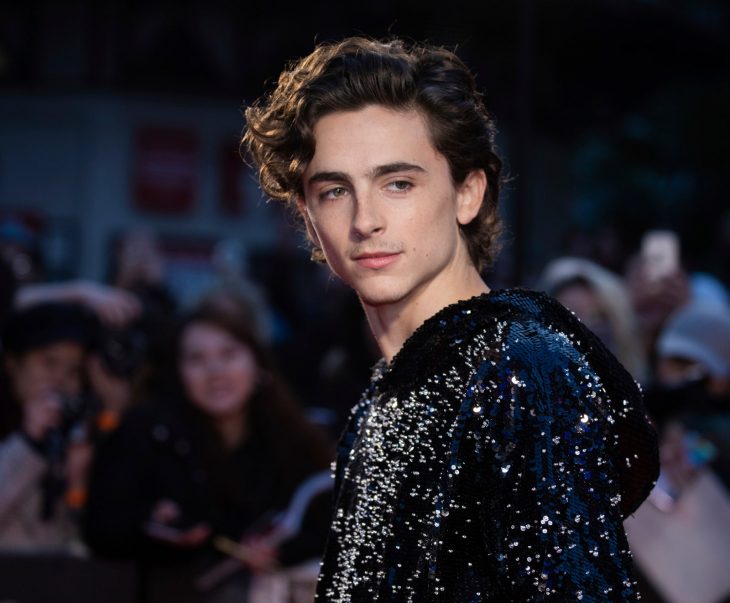 Timothée Chalamet ;Los 25 rostros masculinos más hermosos del mundo en 2021 según TC Candler