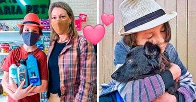 Niño de 11 años baña perritos de la calle para ayudarles a conseguir un nuevo hogar