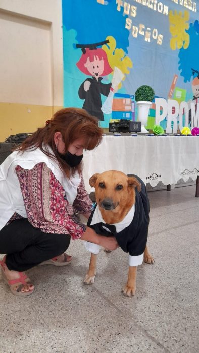 mujer en cuclillas vistiendo a un perro con un traje de gala negro con moño 