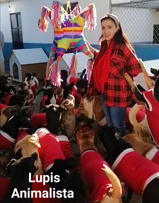 mujer vestida de rojo rodeada de perros con suetercitos de santa 