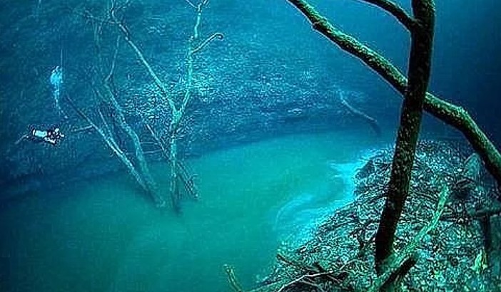 Objects captured at the bottom of the sea 