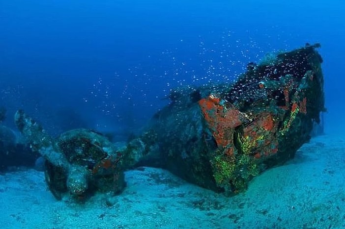 Objects captured at the bottom of the sea 