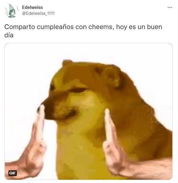 Tuit ;el cumpleaños del perrito Cheems