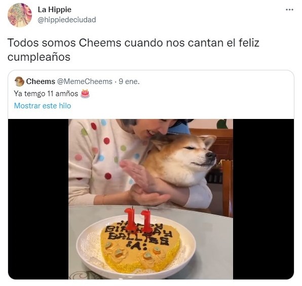 Tuit ;el cumpleaños del perrito Cheems