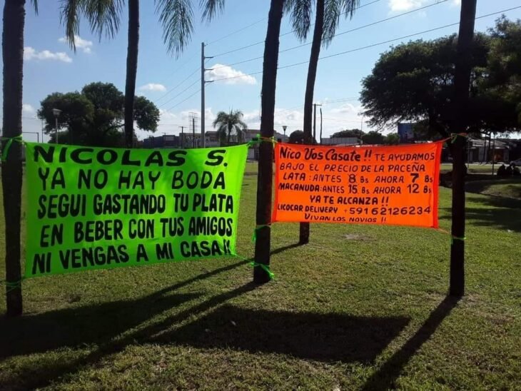 fotos de unas lonas colgadas en las palmeras de un camellón 