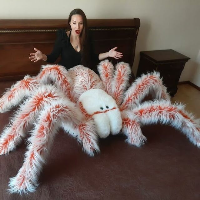 Araña bicolor; Crea almohadas en forma de arañas gigantes y el resultado es todo un éxito