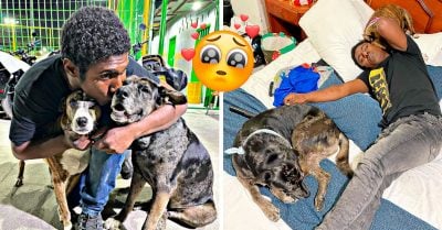 ¡Intenta no llorar! El hombre que festejó el cumpleaños de sus perritos ya tiene un hogar