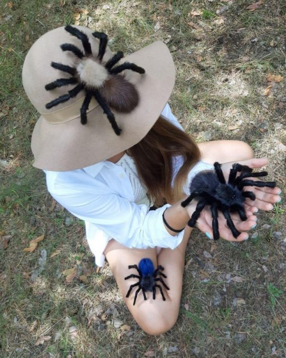 peluchitos de araña ;Esta mujer crear almohadas gigantes de araña y las vende en su tienda en línea 1