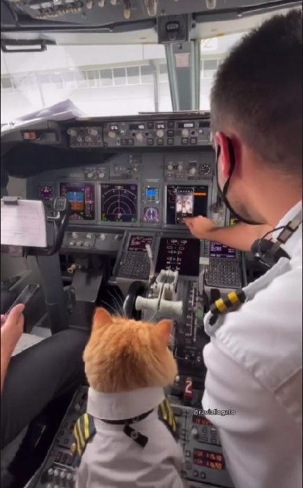 Ravioli el gato con uniforme de Piloto que estremece en redes
