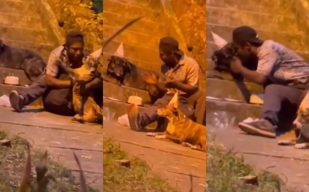 Hombre junto a sus perritos; Indigente celebra cumpleaños de perritos con pastel y le da a internet una lección de amor