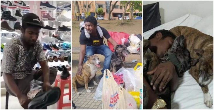 Hombre junto a sus perros; Indigente que festejó cumpleaños con sus perritos es acogido por un refugio