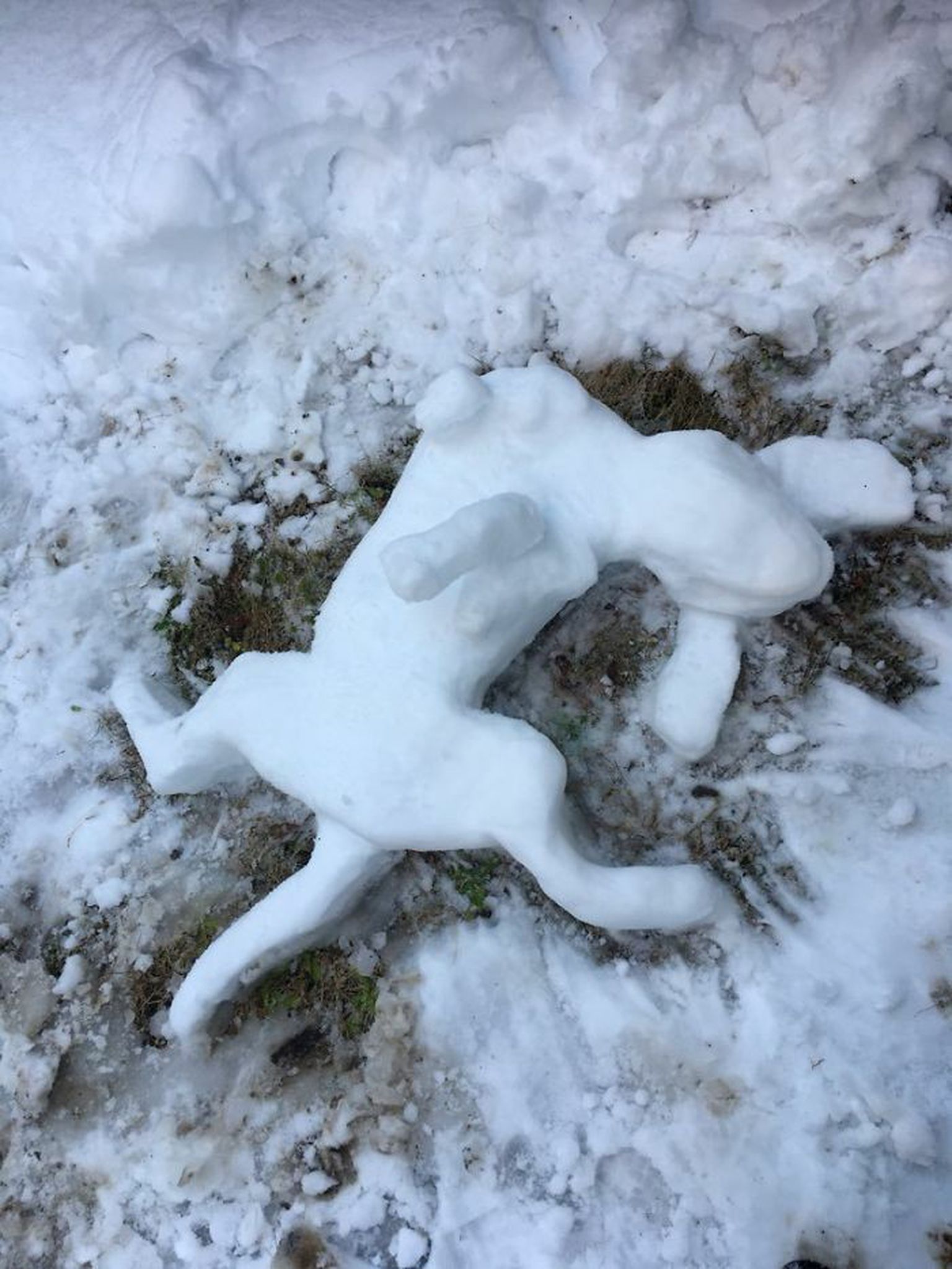 snow figure in the shape of a puppy lying face up on the ground 