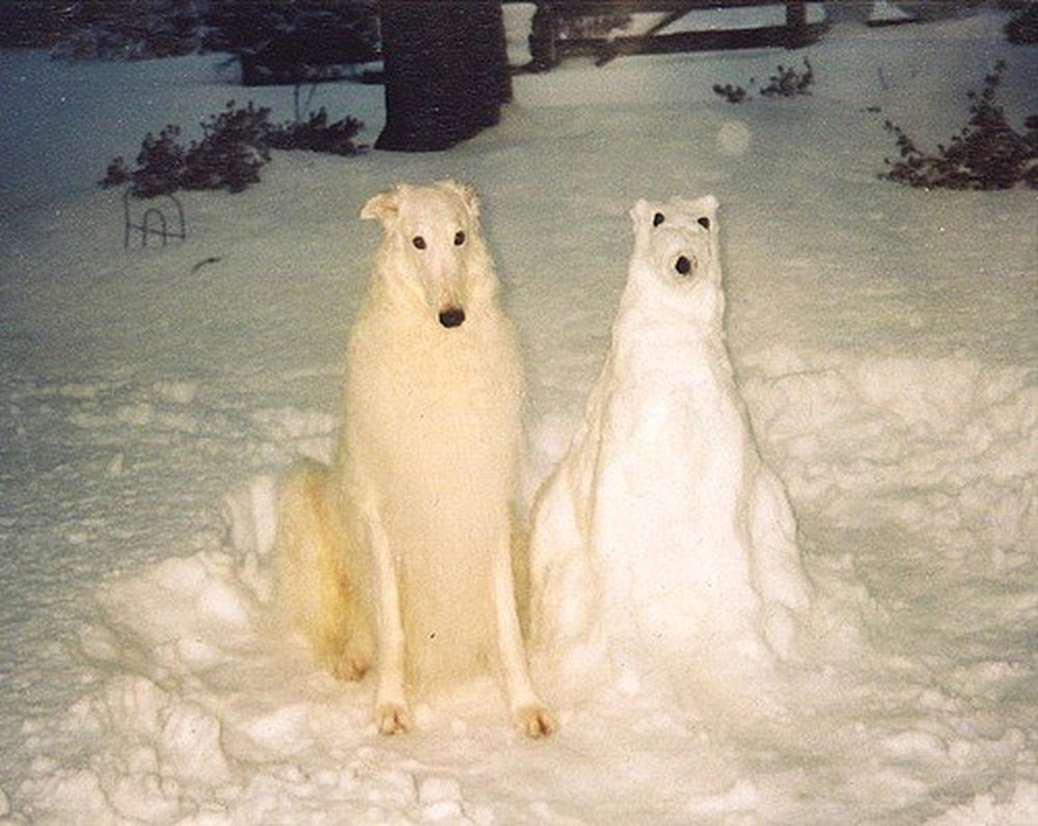 dog next to a snow figure just like him 