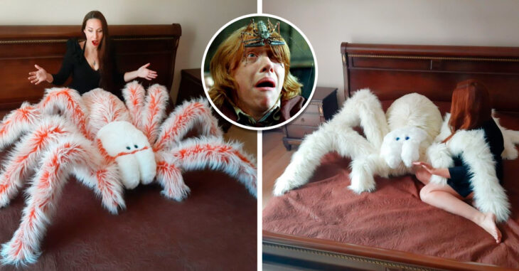 Crea almohadas en forma de ara as gigantes y es un xito