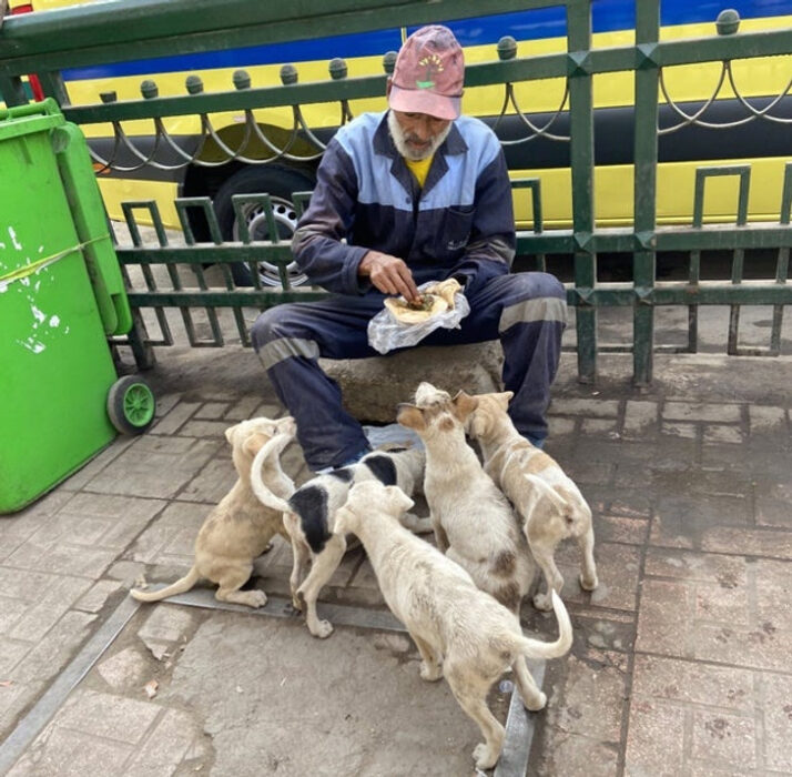 Abuelo con perritos ;Personas que nos recuerdan que el mundo está lleno de bondad