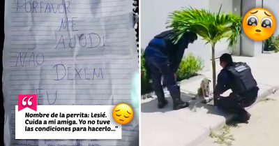Policías rescatan a perrita que llevaba consigo una nota de ayuda: “no la dejarán morir”
