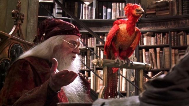 Ave fenix de la película de Harry Potter 