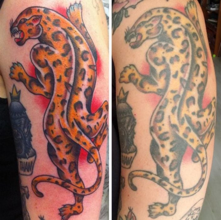 Leopardo ;14 Tatuajes en el día en que se hicieron vs actualmente