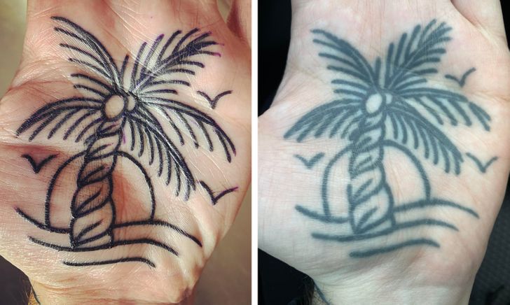 Palmera ;14 Tatuajes en el día en que se hicieron vs actualmente