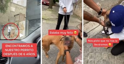¡La traición, hermano! Después de 6 años, encontró a su perro, pero este ya tenía otro dueño