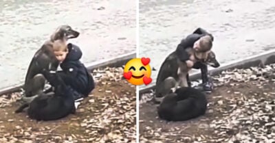 Niño detiene su camino hacia la escuela para abrazar a unos perritos callejeros